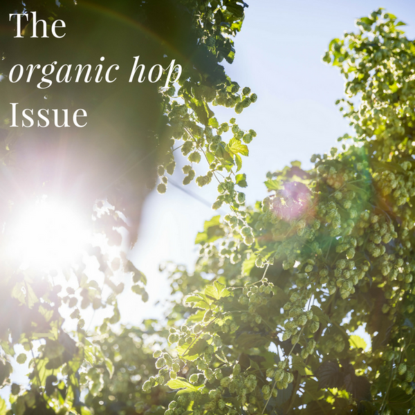 Our hero ingredient-the organic hop issue